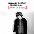 Vidar Busk: Best of Busk  ( CD )