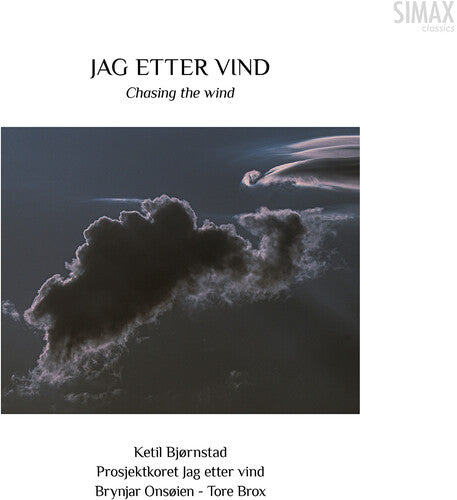 Ketil Bjornstad: Bjornstad: Chasing the Wind  ( CD )