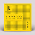 Anoesis: Metacognition - 12-INCH SINGLE