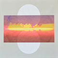 Drone Assembly: Drone Assembly - Vinyl