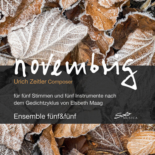 Julia Zischg: Novembrig  ( CD )