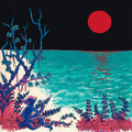 Glass Beach: The First Glass Beach Album - Silver - VINYL