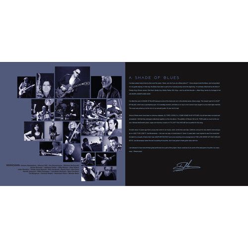 Dave Mason - A Shade of Blues ( VINYL )