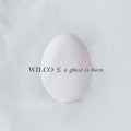 Wilco - A Ghost Is Born ( VINYL )