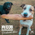 Bob Lanza: Breadman's Blues  ( CD )