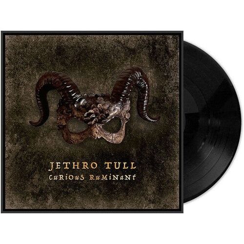 Jethro Tull - Curious Ruminant ( VINYL )