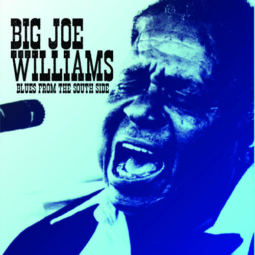 Big Joe Williams: Blues from the South Side  ( CD )