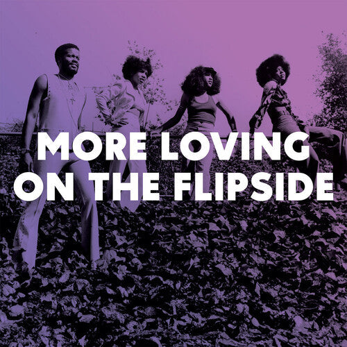 Various Artists: More Loving On The Flipside: Sweet Funk & Beat-Heavy Ballads 1968-1975 (Various Artists) - VINYL