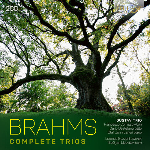 Simone Vallerotonda: Brahms: Complete Trios  ( CD )