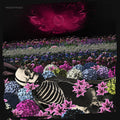 Dead Rabbitts: Redefined - VINYL