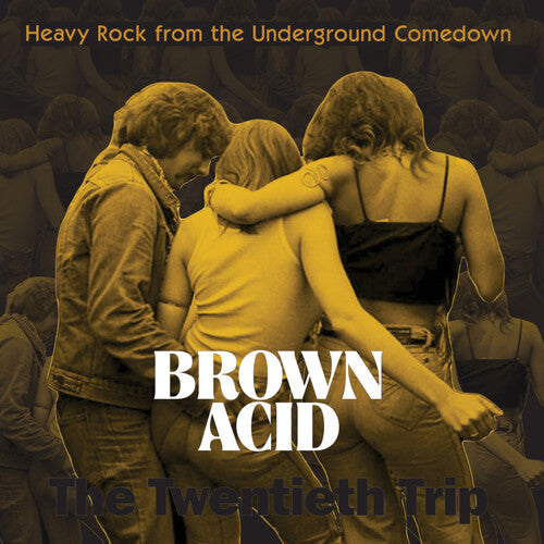 Various Artists - Brown Acid: The Twentieth Trip ( VINYL )