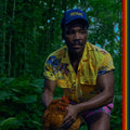 Childish Gambino - Bando Stone and the New World ( VINYL )