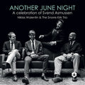 Niklas Walentin: Another June Night - VINYL