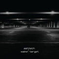 Ashtech: Walkin' Target - VINYL