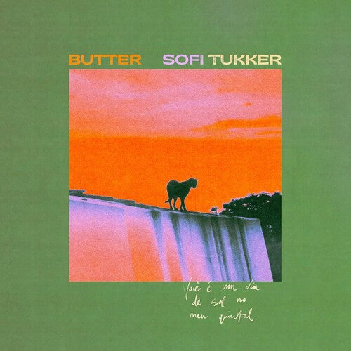 Sofi Tukker - butter ( VINYL )