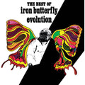 Iron Butterfly - Evolution: The Best Of Iron Butterfly ( VINYL )