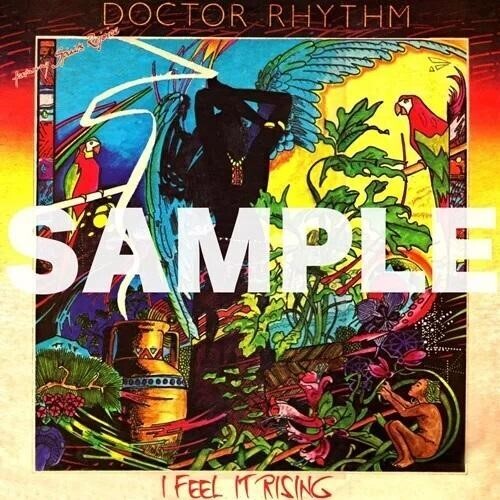Doctor Rhythm: I Feel It Rising - VINYL