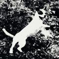 Edmondson: Azura - 12-INCH SINGLE