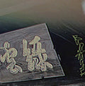 Budamunk: Green Cloud - Vinyl