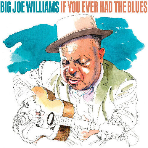 Big Joe Williams: If You Ever Had The Blues  ( CD )