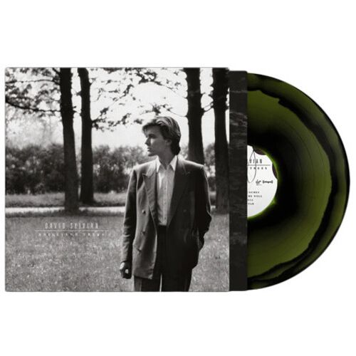 David Sylvian - Brilliant Trees ( VINYL )