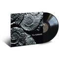 The Sundays - Reading, Writing And Arithmetic ( VINYL )