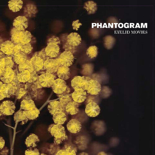 Phantogram: Eyelid Movies - VINYL