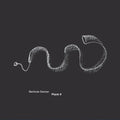 Berlinde Deman: Plank 9 - CD