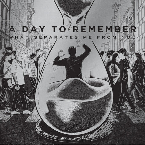 A Day to Remember - What Separates Me From You ( VINYL )