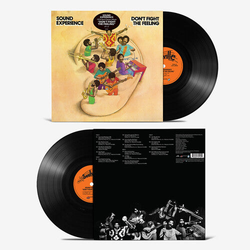 Sound Experience - Don't Fight the Feeling ( VINYL )