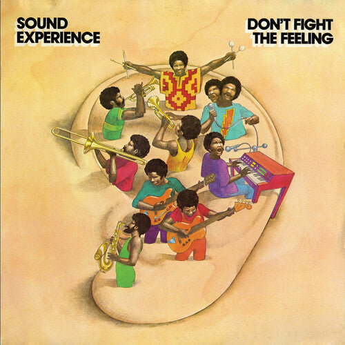 Sound Experience - Don't Fight the Feeling ( VINYL )