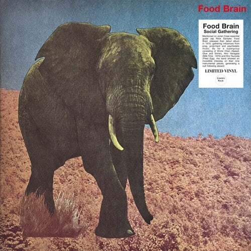 Foodbrain: Social Gathering - VINYL