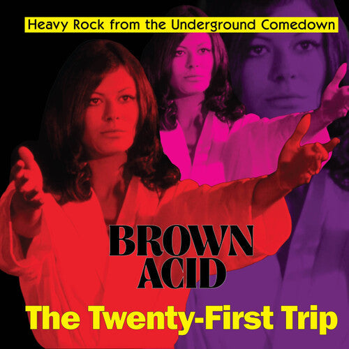 Various Artists - Brown Acid: The Twenty-First Trip ( VINYL )