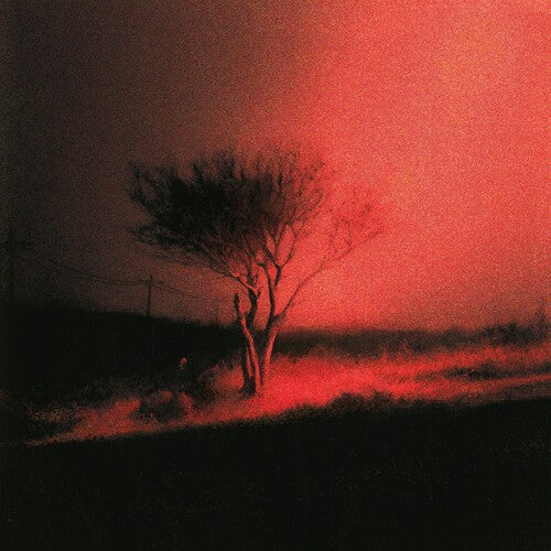 Joji - Piss In The Wind ( VINYL )