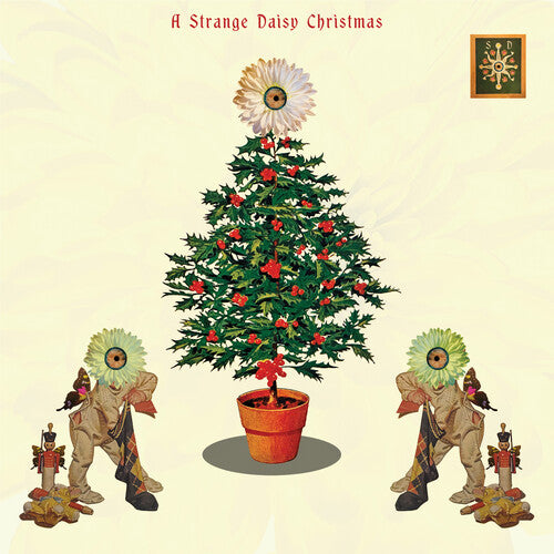Various Artists: A Strange Daisy Christmas (Various Artists) - CD