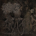 Bloodtied: Dismantling Neuroanatomy - CD