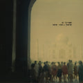 Dictaphone: Poems From A Rooftop (DELUXE EDITION, COKE BOTTLE GREEN VINYL) - VINYL