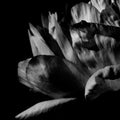 Louise Roam: La Ou Passe La Nuit  ( CD )
