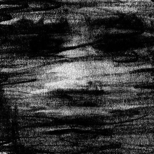 Born Erased: Birds Drink My Blood  ( CD )
