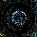 Stonus: Stonus - CD