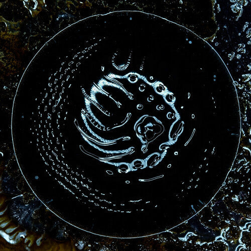 Stonus: Stonus - CD