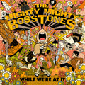 The Mighty Mighty Bosstones - While We're At It ( VINYL )