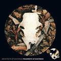 Architects of Existence: Fragments Of Existence  ( CD )
