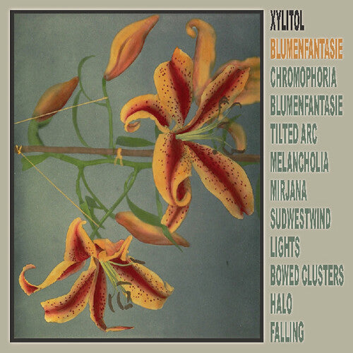 Xylitol: Blumenfantasie - Vinyl