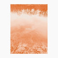 Brad E Rose: Sound Leaves  ( CD )