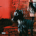 Leon Thomas: Mutt - CD