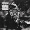 Diesect: Hide From The Light - VINYL