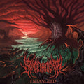 Since the Death: Entangled - CD
