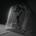 Visible Cloaks: Paradessence - Vinyl