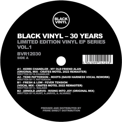 Various Artists: 30 Years Vol. 1 (Various Artists) - 12-INCH SINGLE